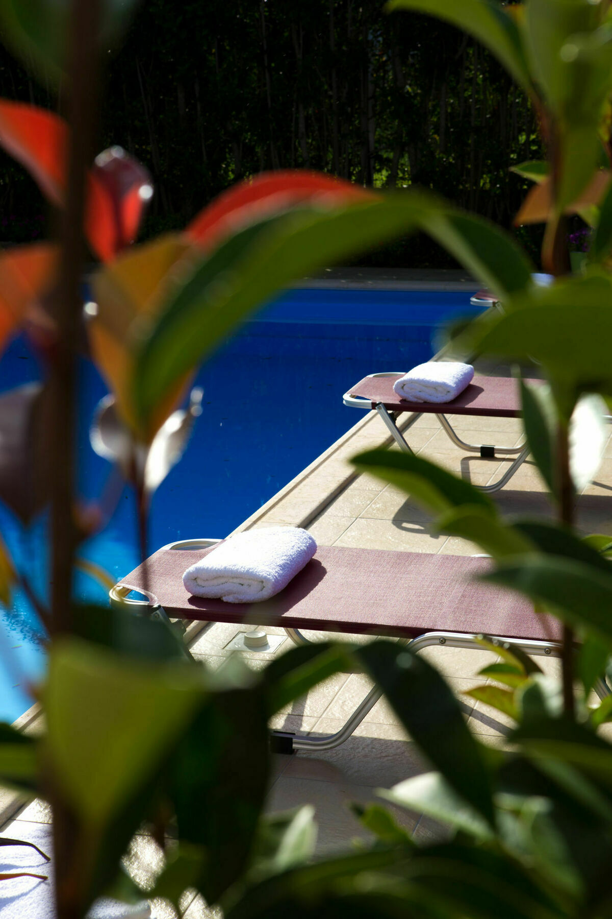 Exanthia Villas 外观 照片